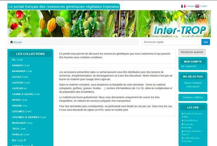 visuel du site InterTROP